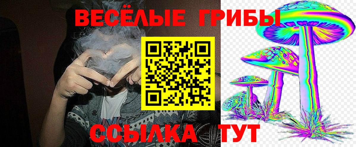 Галлюциногенные грибы прущие грибы  Вход с VPN  Элиста 